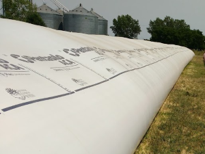 Almacenamiento en silobolsa